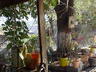Caba�as Campestres en Monterrey en venta by JUAN SOLIS 